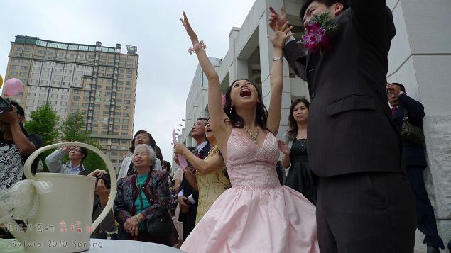 P1100148.jpg P1100148.jpg