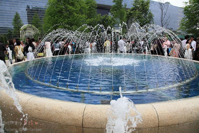 IMG_2849.jpg IMG_2849.jpg