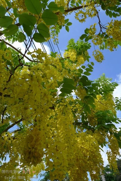 P1030004.jpg P1030004.jpg