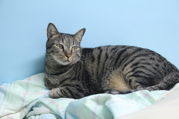 IMG_4507_調整大小.JPG IMG_4507_調整大小.JPG