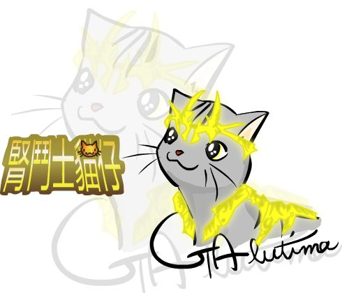 腎鬥士貓仔.jpg 腎鬥士貓仔.jpg