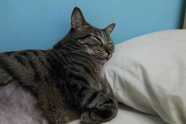 IMG_5085_調整大小.JPG IMG_5085_調整大小.JPG