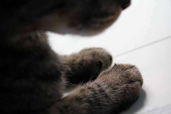 IMG_5261.jpg IMG_5261.jpg