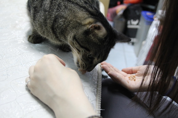 IMG_5839.jpg IMG_5839.jpg