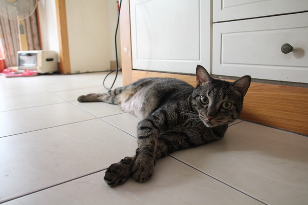 IMG_5887.jpg IMG_5887.jpg