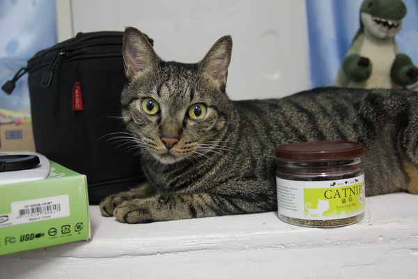 IMG_6004.jpg IMG_6004.jpg