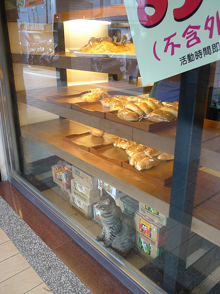 P1060905_調整大小.JPG P1060905_調整大小.JPG