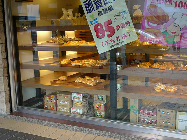 P1060911_調整大小.JPG P1060911_調整大小.JPG