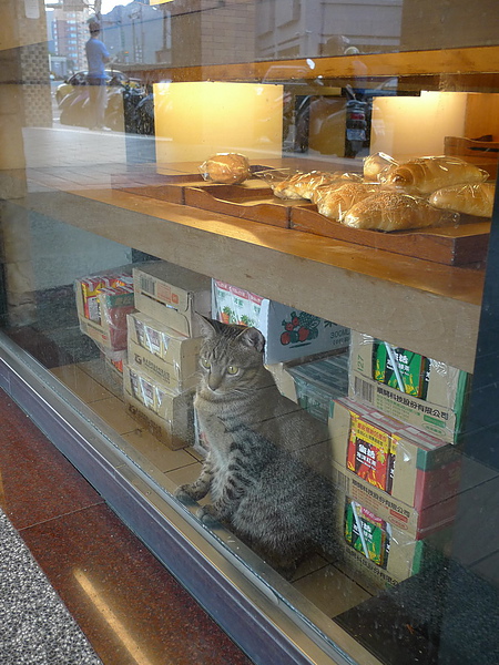 P1060909_調整大小.JPG P1060909_調整大小.JPG