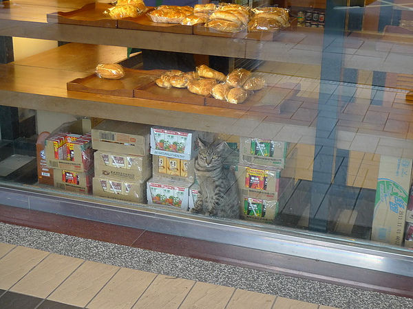 P1060904_調整大小.JPG P1060904_調整大小.JPG