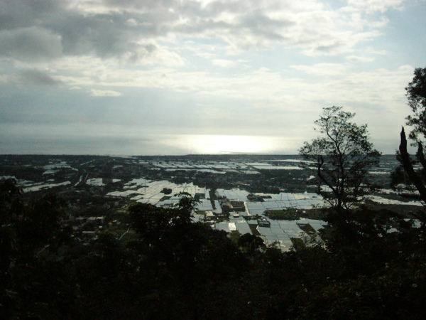 P1000117.JPG