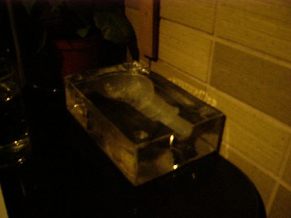 P1000008.JPG