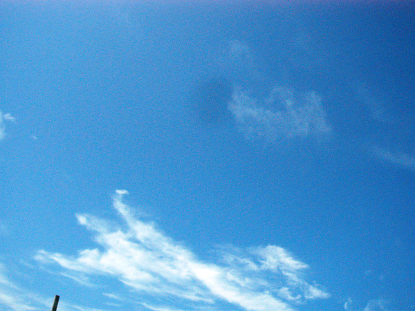 P1020147.JPG