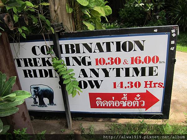 IMG_4943.JPG IMG_4943.JPG