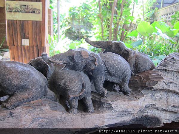 IMG_4944.JPG IMG_4944.JPG