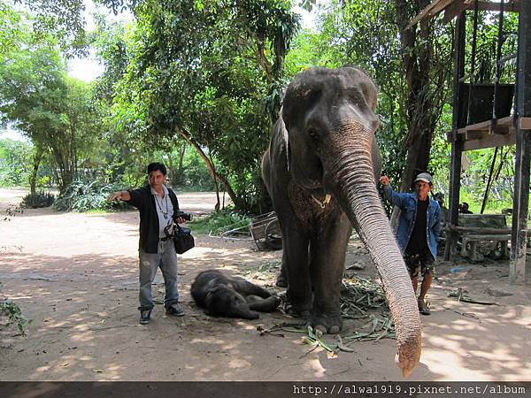 IMG_4947.JPG IMG_4947.JPG