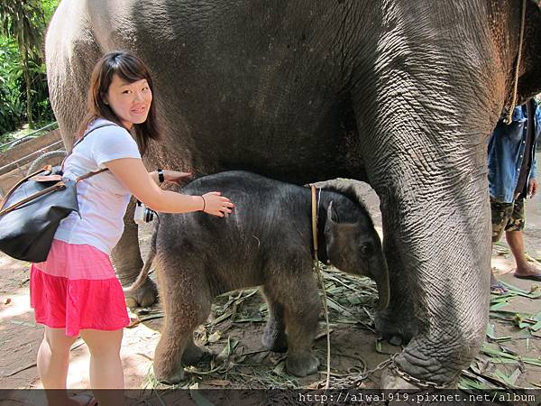 IMG_4952.JPG IMG_4952.JPG