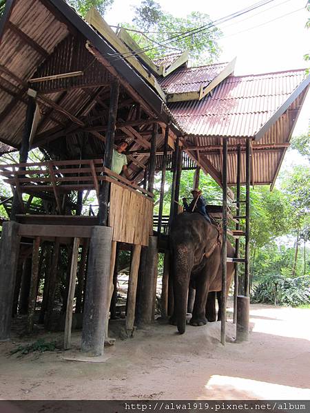 IMG_4957.JPG IMG_4957.JPG