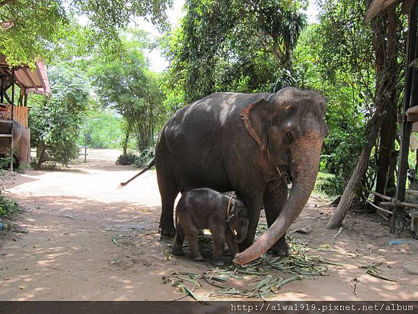 IMG_4958.JPG IMG_4958.JPG