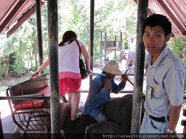 IMG_4963.JPG IMG_4963.JPG