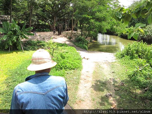 IMG_4971.JPG IMG_4971.JPG