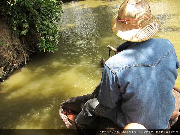 IMG_4982.JPG IMG_4982.JPG