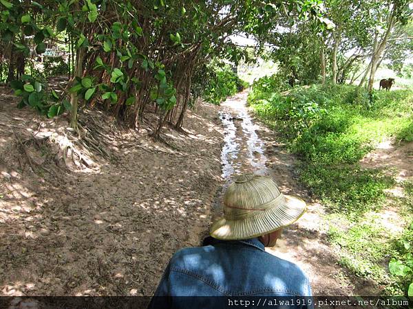 IMG_4988.JPG IMG_4988.JPG