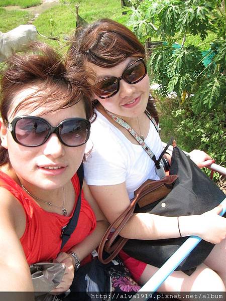 IMG_4999.JPG IMG_4999.JPG