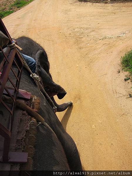 IMG_5028.JPG IMG_5028.JPG