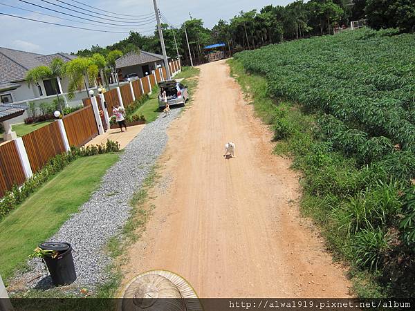 IMG_5035.JPG IMG_5035.JPG