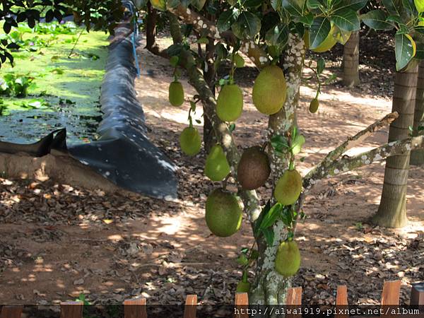 IMG_5043.JPG IMG_5043.JPG