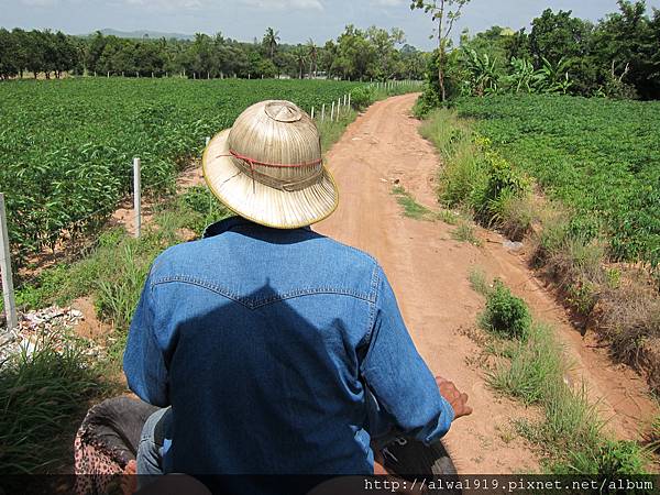 IMG_5047.JPG IMG_5047.JPG