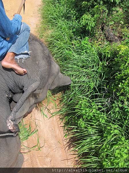 IMG_5049.JPG IMG_5049.JPG