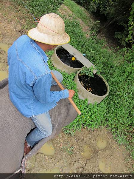 IMG_5057.JPG IMG_5057.JPG