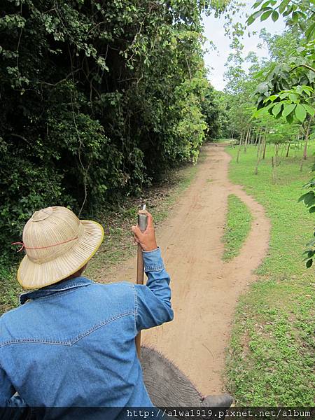 IMG_5077.JPG IMG_5077.JPG