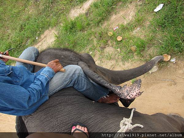 IMG_5086.JPG IMG_5086.JPG