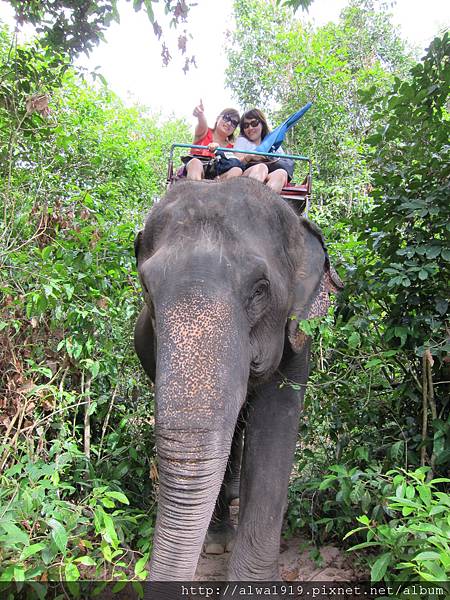 IMG_5103.JPG IMG_5103.JPG