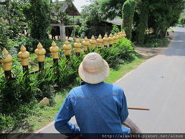 IMG_5112.JPG IMG_5112.JPG