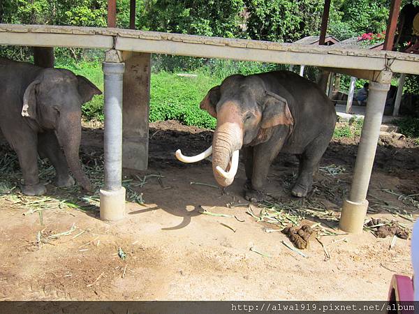 IMG_5121.JPG IMG_5121.JPG