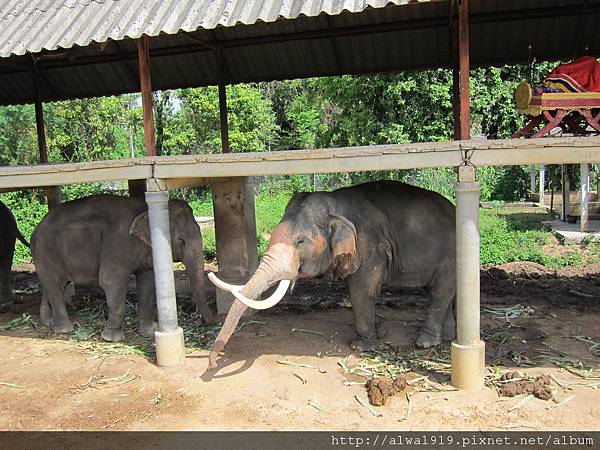 IMG_5123.JPG IMG_5123.JPG