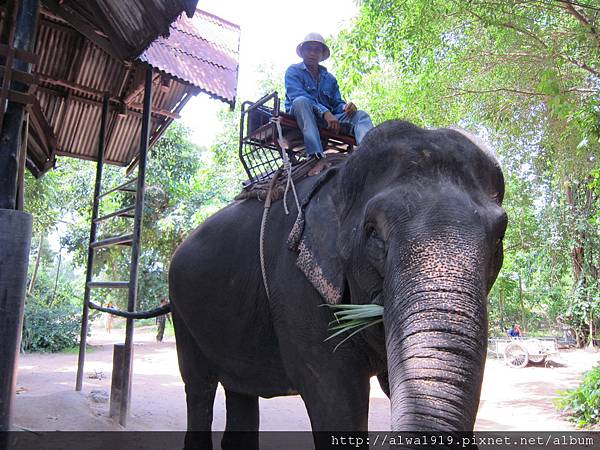 IMG_5138.JPG IMG_5138.JPG