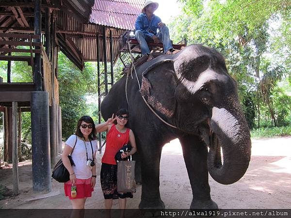 IMG_5139.JPG IMG_5139.JPG