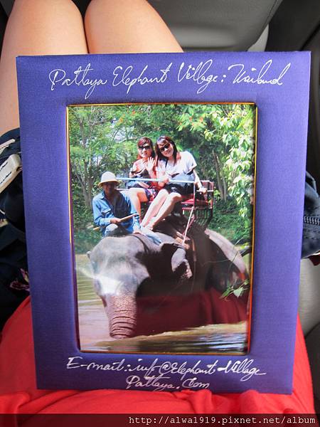 IMG_5147.JPG IMG_5147.JPG