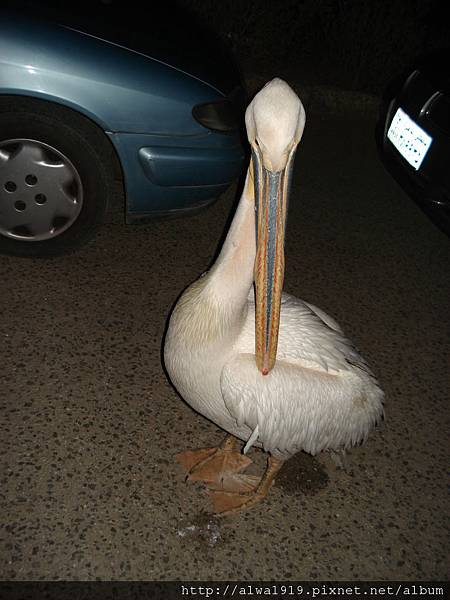 DSC06098.JPG DSC06098.JPG