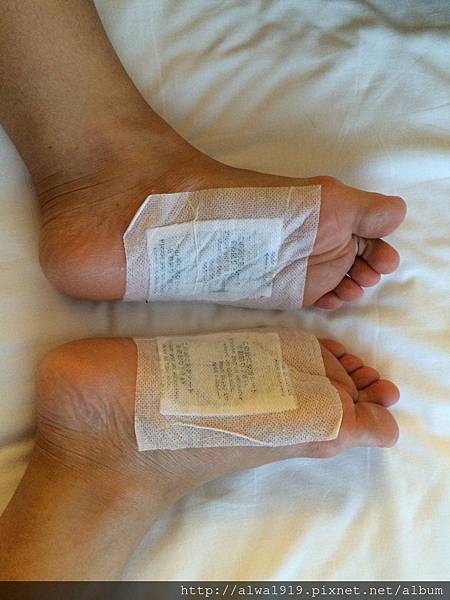 IMG_3009.jpg IMG_3009.jpg