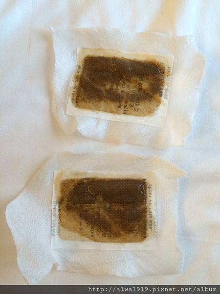 IMG_3010.jpg IMG_3010.jpg