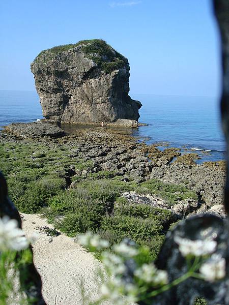 DSC06747.JPG DSC06747.JPG