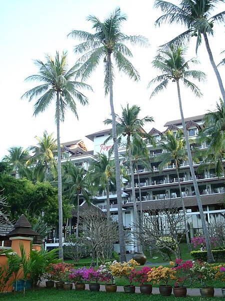 DSC02545.JPG DSC02545.JPG