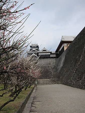 IMG_2998.JPG IMG_2998.JPG