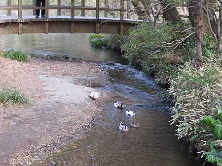 IMG_3286.JPG IMG_3286.JPG